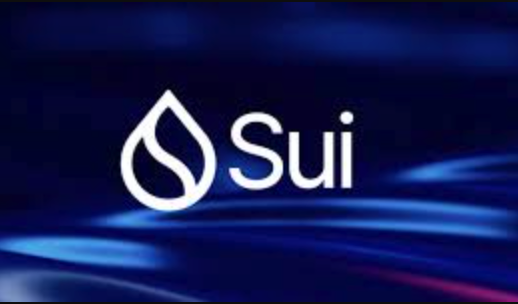 2025年哪些山寨币可能爆发?最具潜力小币种分析 - php中文网
